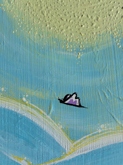Butterflies Often Appear